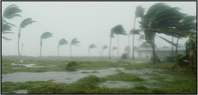 Hurricane Shutters wind speed test of winds up to 150mph